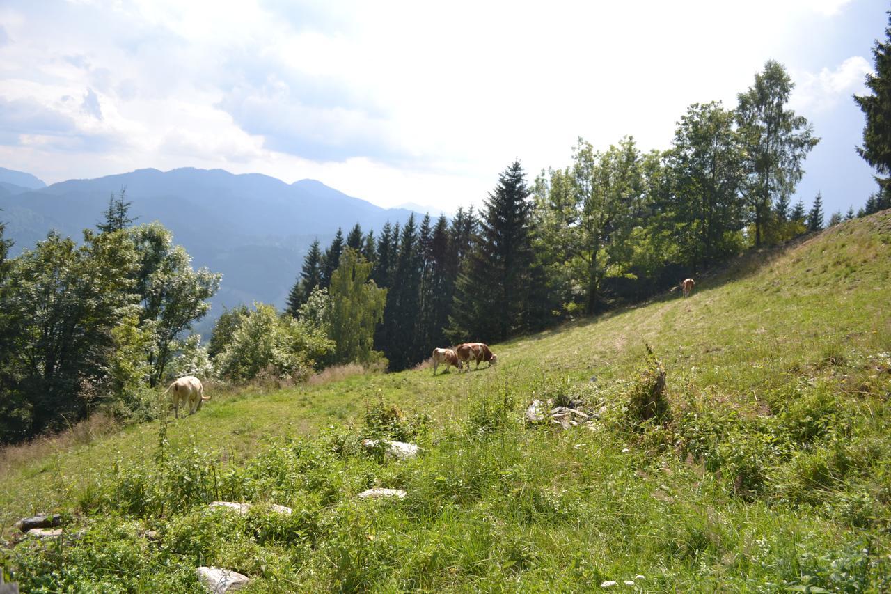 Gasthof Oberer Gesslbauer Stanz Im Murztal Zewnętrze zdjęcie