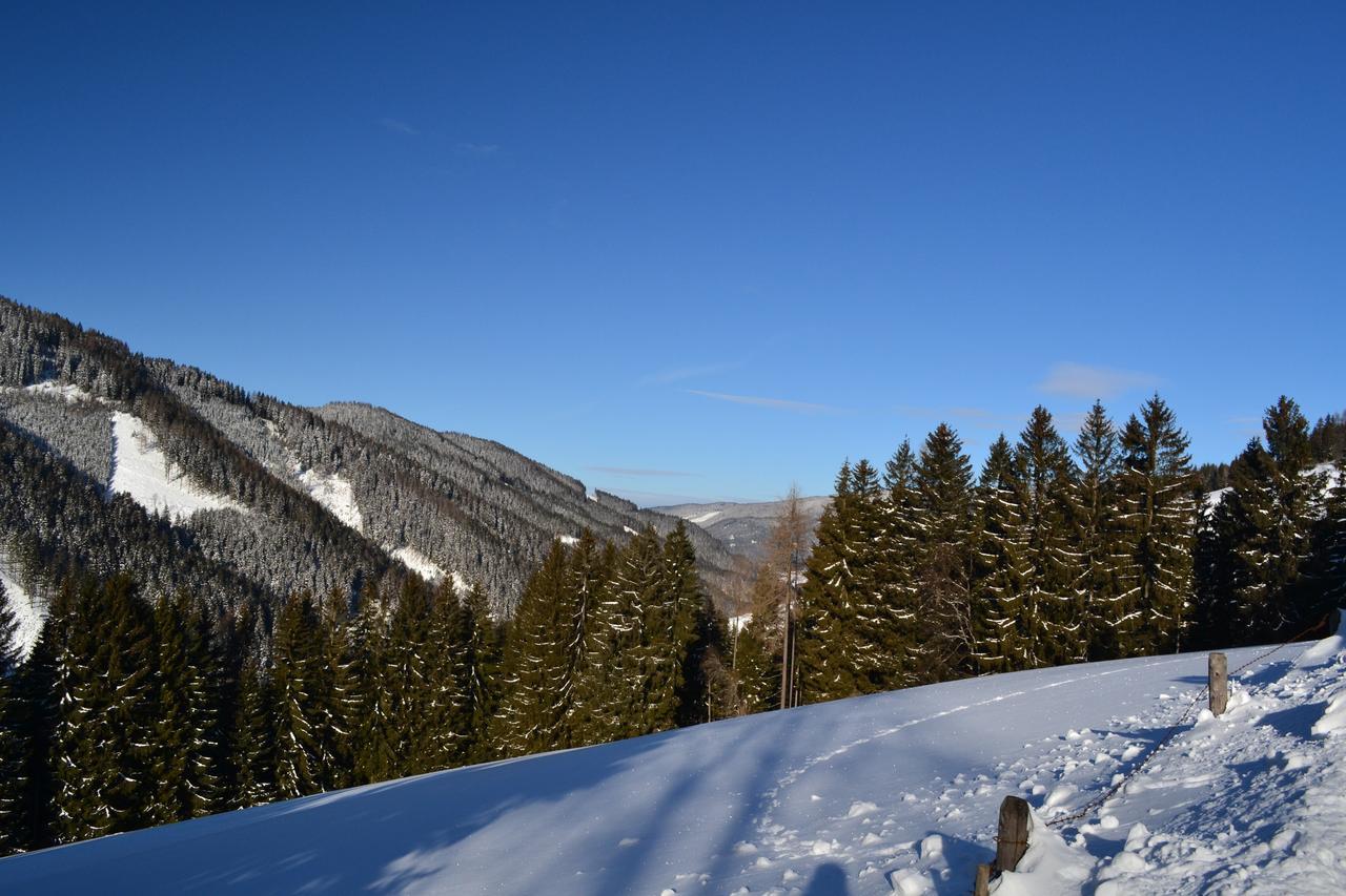 Gasthof Oberer Gesslbauer Stanz Im Murztal Zewnętrze zdjęcie