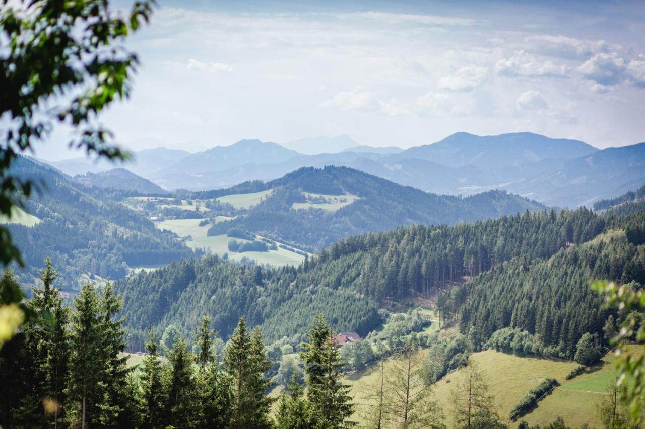 Gasthof Oberer Gesslbauer Stanz Im Murztal Zewnętrze zdjęcie