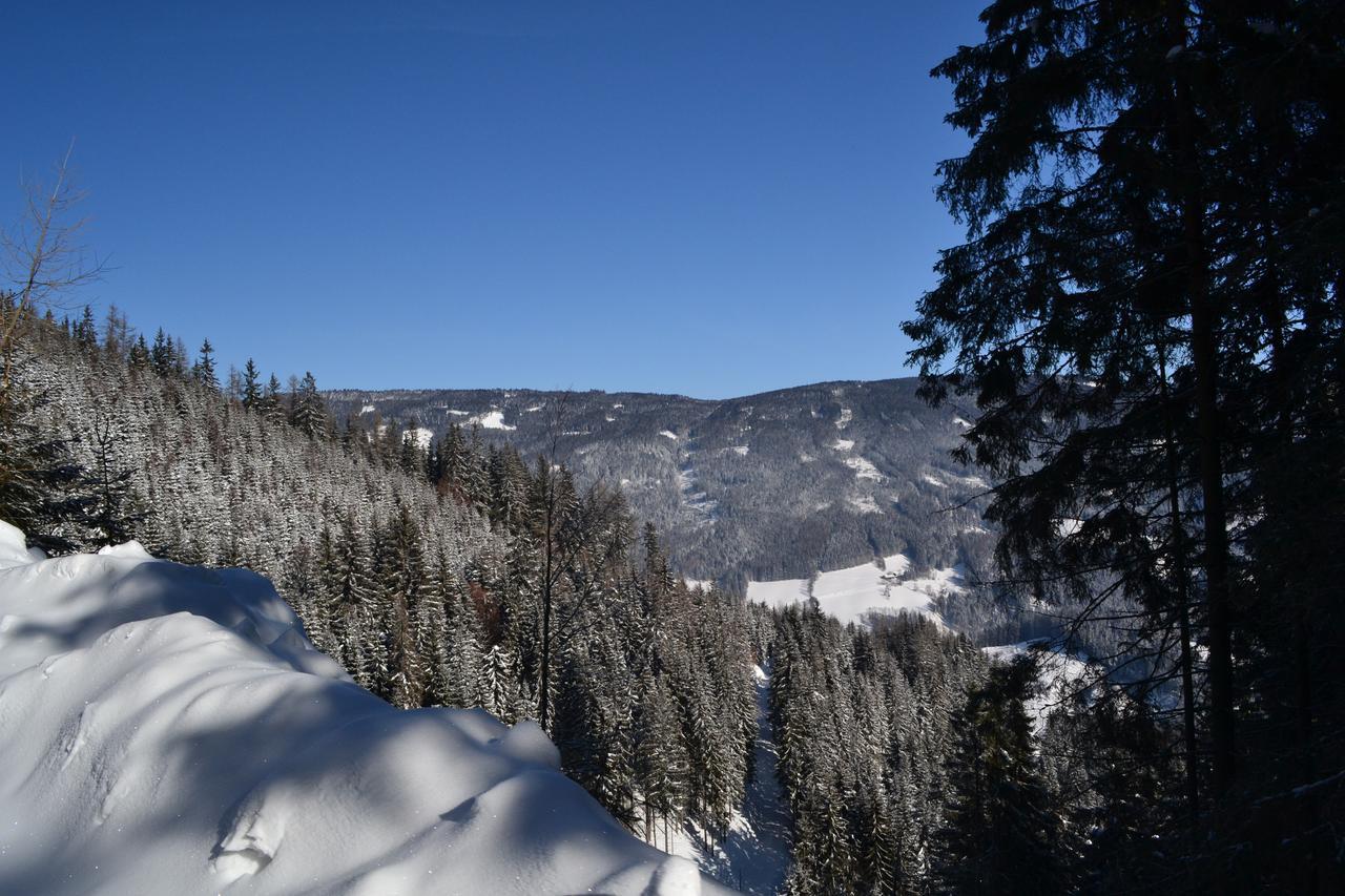 Gasthof Oberer Gesslbauer Stanz Im Murztal Zewnętrze zdjęcie